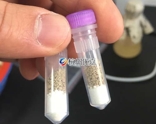 農(nóng)科院利用宋慈土壤研磨儀提取土壤中微生物細胞