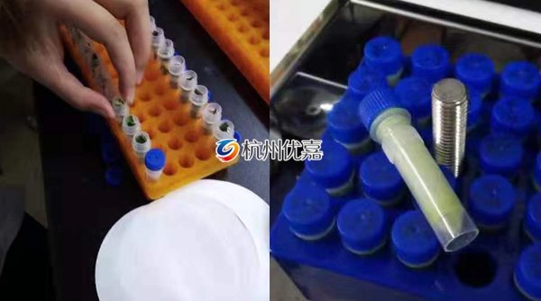 宋慈研磨儀批量研磨植物組織，速度快，重復性好