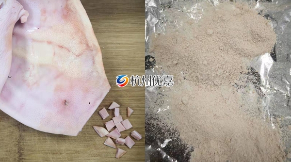 宋慈多樣品研磨儀對豬耳朵進行干磨提取DNA