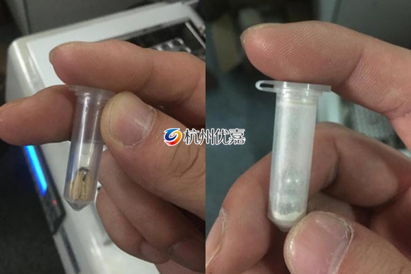 多樣品組織研磨儀SC-64研磨儀處理水稻種子