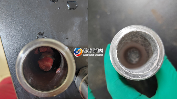 多樣品組織研磨儀在豬心臟分子機制研究中的高效應用